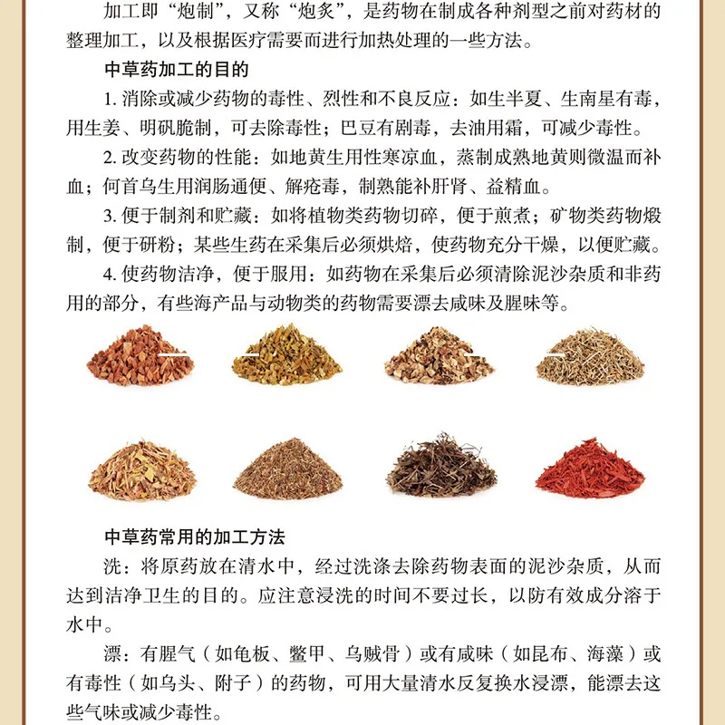 Herbal Wellness Recipes - Günlük Çin Bitkisel Diyeti: Kapsamlı Gıda