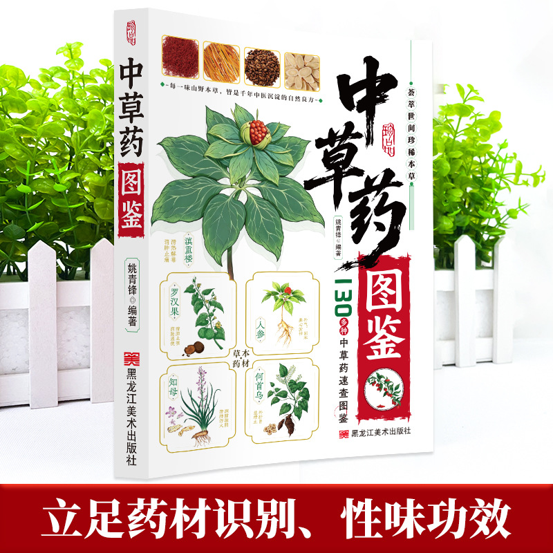 Resimli Kılavuz Çin Bitkisel T - Herbal Wellness Guide incelemesi ve fiyatı