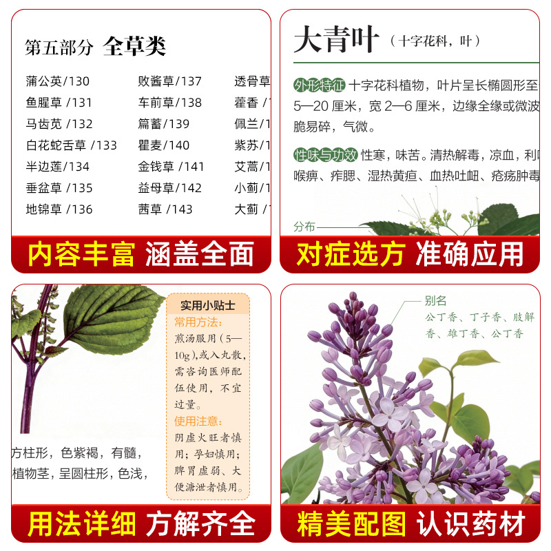 Resimli Kılavuz Çin Bitkisel T - Herbal Wellness Guide incelemesi ve fiyatı